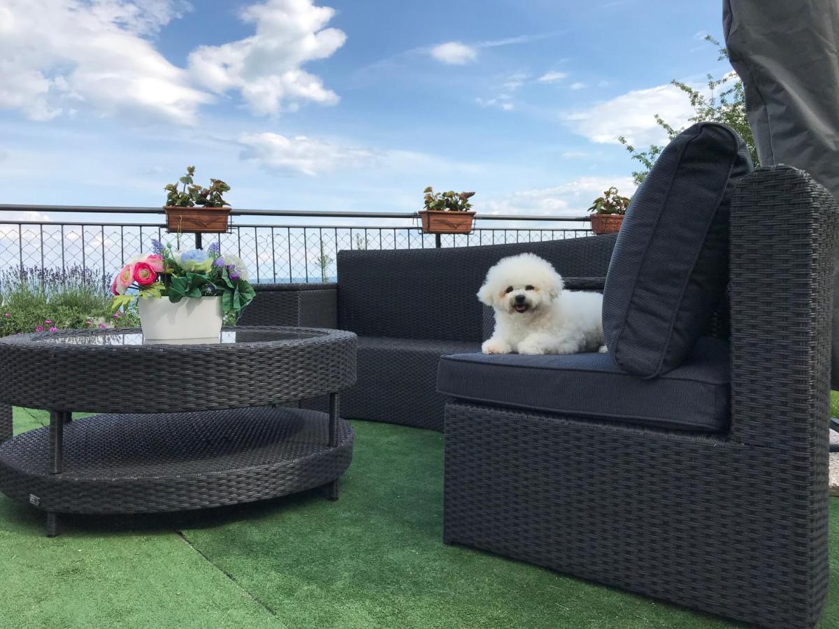 Apartman Nicole Mošćenička Draga المظهر الخارجي الصورة